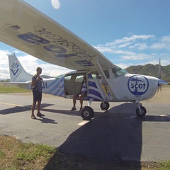 Avion Cessna 206